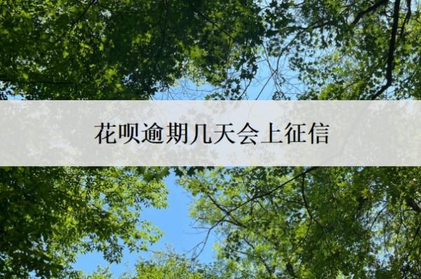 花唄逾期幾天會(huì)上征信