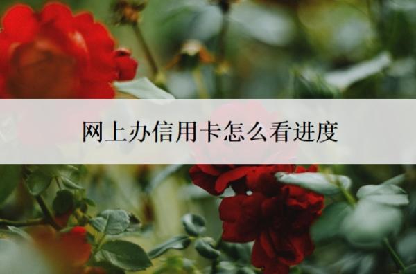 網(wǎng)上辦信用卡怎么看進(jìn)度？寄到了會(huì)通知嗎？