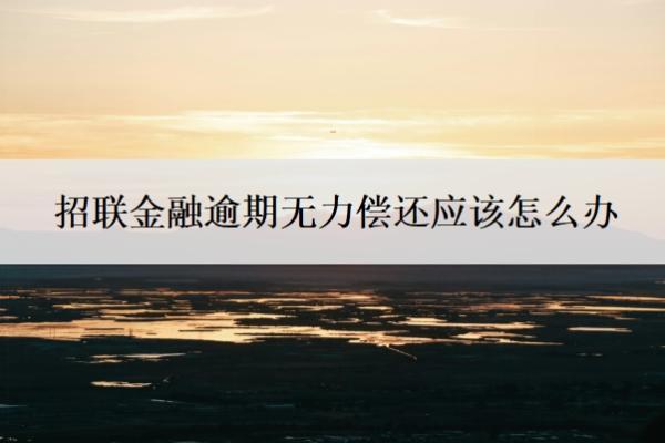 招聯(lián)金融逾期無(wú)力償還應(yīng)該怎么辦？還不上會(huì)有什么后果？