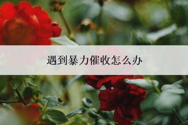 遇到暴力催收怎么辦？怎么防止催收爆通訊錄？