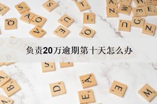 負(fù)責(zé)20萬(wàn)逾期第十天怎么辦？貸款逾期多久會(huì)影響征信？