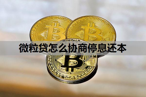 微粒貸怎么協(xié)商停息還本