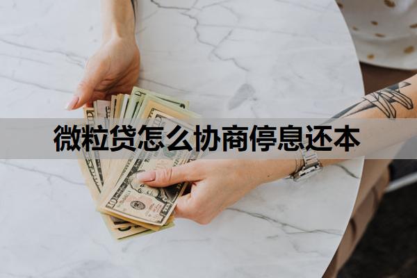 微粒貸怎么協(xié)商停息還本