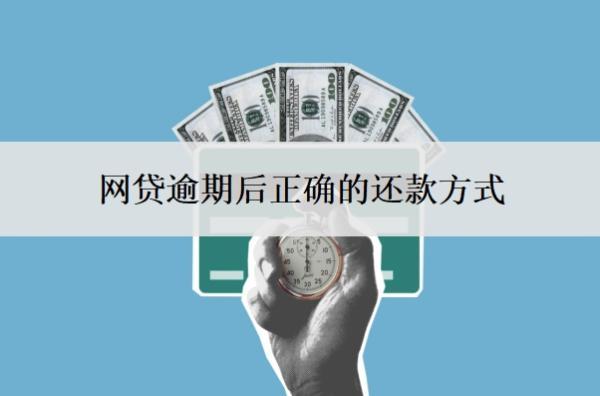 網(wǎng)貸逾期后正確的還款方式？多久會讓你一次還清？