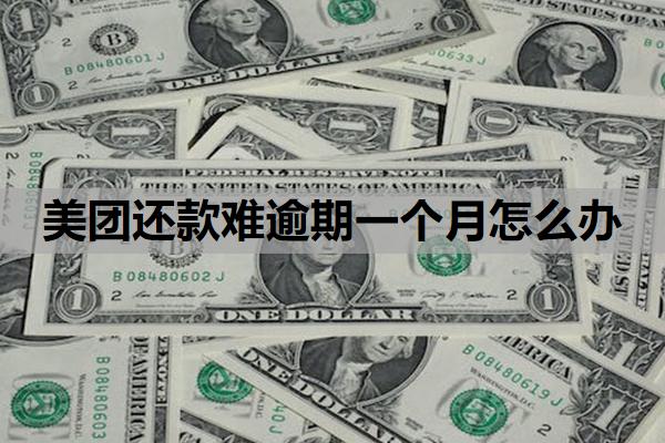 美團還款難逾期一個月怎么辦