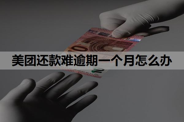 美團還款難逾期一個月怎么辦
