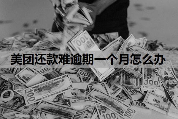 美團還款難逾期一個月怎么辦