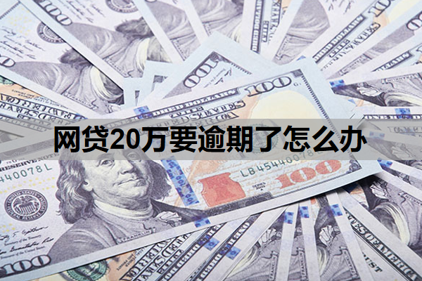網(wǎng)貸20萬要逾期了怎么辦？欠網(wǎng)貸20萬不還會有什么后果？