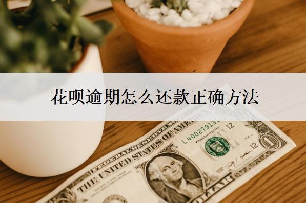 花唄逾期怎么還款正確方法？可以慢慢還嗎？