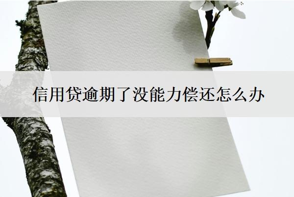 信用貸逾期了沒能力償還怎么辦？逾期會有什么后果？