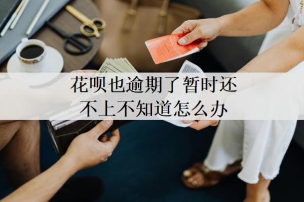 花唄也逾期了暫時(shí)還不上不知道怎么辦