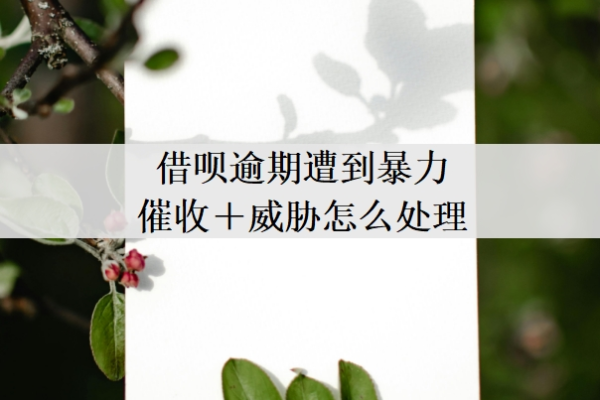 借唄逾期遭到暴力催收＋威脅怎么處理？