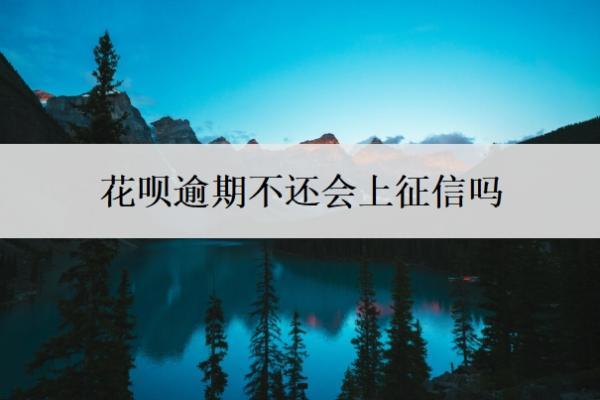 花唄逾期不還會(huì)上征信嗎？會(huì)成為黑戶嗎？