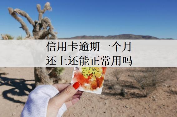 信用卡逾期一個(gè)月還上還能正常用嗎？遲還了1一2個(gè)月會怎樣？