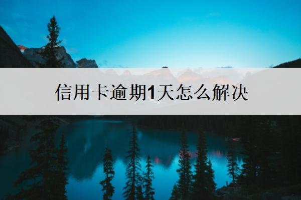信用卡逾期1天怎么解決？逾期了無力償還最壞結(jié)果？